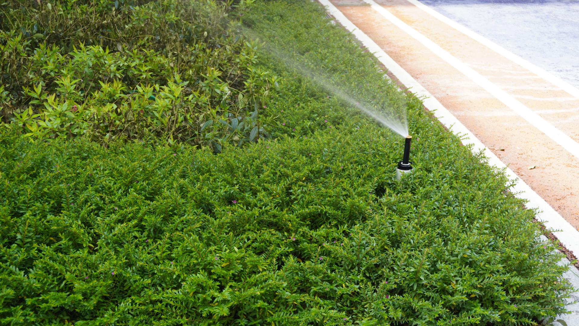 模塊雨水回用系統(tǒng)與機房雨水回用系統(tǒng)的特點